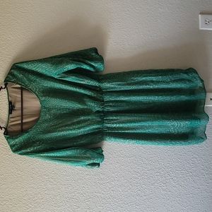 Green/Brown Flowy Banana Republic Dress